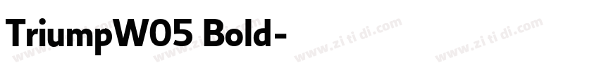 TriumpW05 Bold字体转换